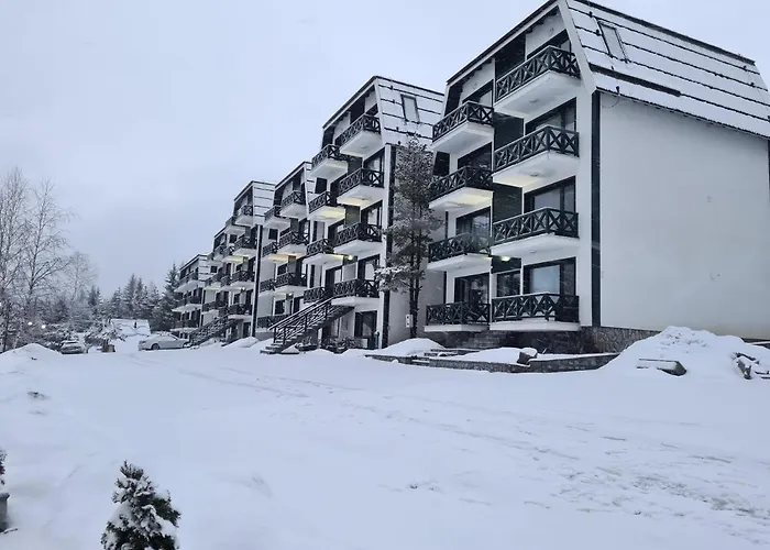 Apartament Hedonic *