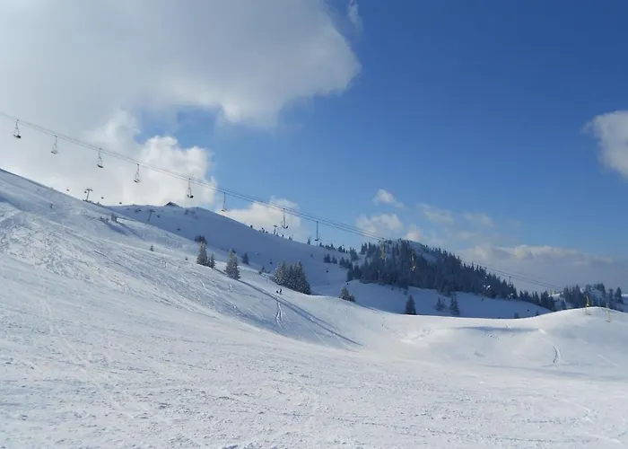 Hedonic Apartament Kopaonik